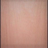 1/4 4 x 8 Revolution Ply Underlayment Plywood