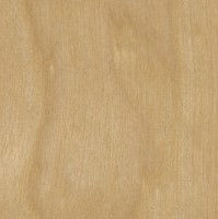3/4 4 x 8 G2S Import  Birch Plywood