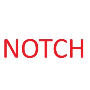 2 X 4 X 10ft #2 Notched KD HT SPF Stud PW00122
