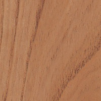 3/4 4 X 8 MDF ELM / ELM SHOP